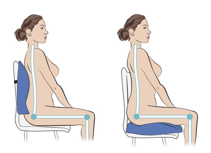 Lenden-und Sitzkissen, 2-in-1 