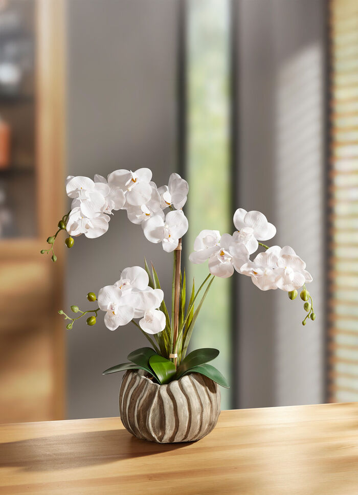 Orchidee in silberfarbenen Topf 