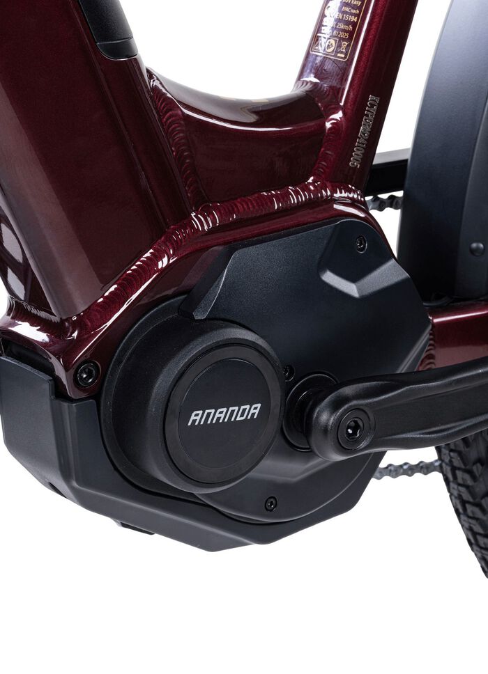 E-Bike Deluxe SUV Easy 