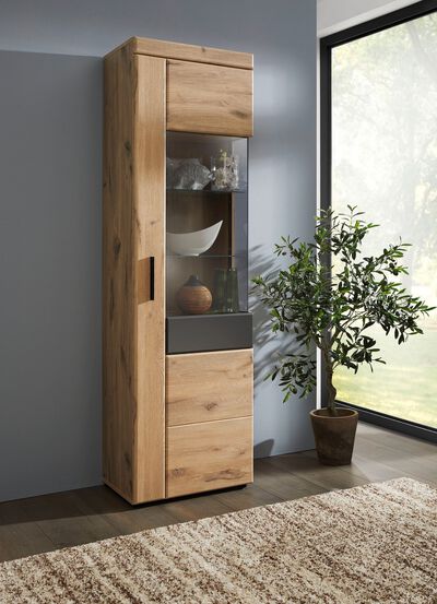 Vitrine mit anthrazitfarbenen Elementen 