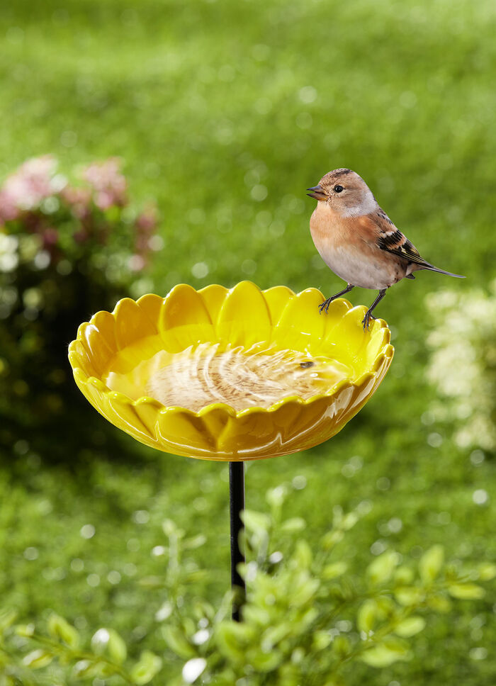 Vogeltränke aus glasierter Keramik 