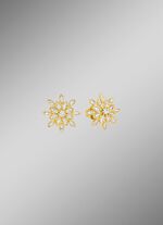 Zauberhafte Ohrstecker 