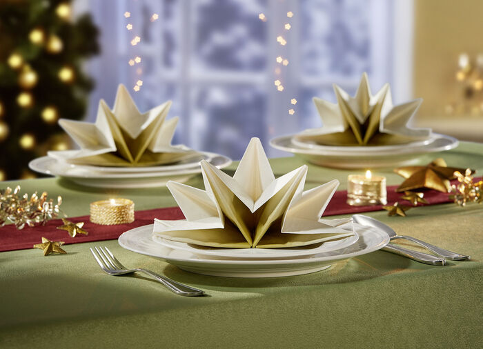 Gefaltene Servietten,  8er-Set 