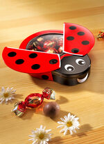 Milchschokoladen-Geschenkdose Glückskäfer 