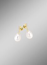 Strahlender Charme &ndash; Ohrstecker aus vergoldetem Silber 