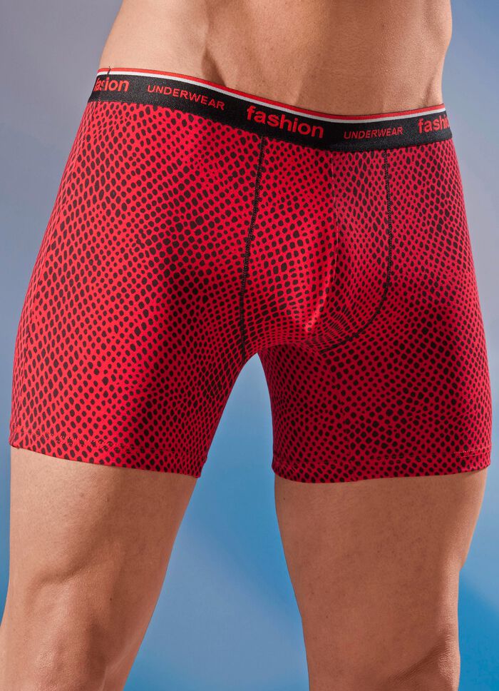 Viererpack Pants mit Elastikbund 