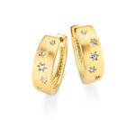 Hinrei&szlig;endes Paar Creolen 