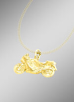 Anhänger Motorrad, beidseitig tragbar