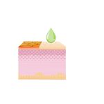 Ringelblumencreme,2er-Set 