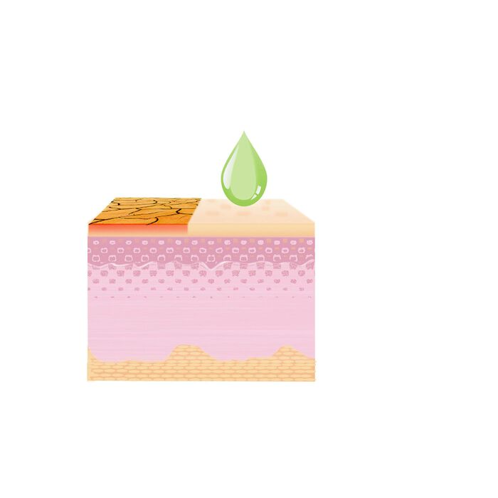 Ringelblumencreme,2er-Set 