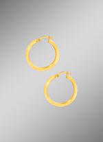 Hochgl&auml;nzende Creolen 