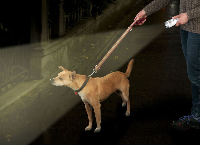 LED-Nachtlicht und Handleuchte, 2-in-1 Leuchte 