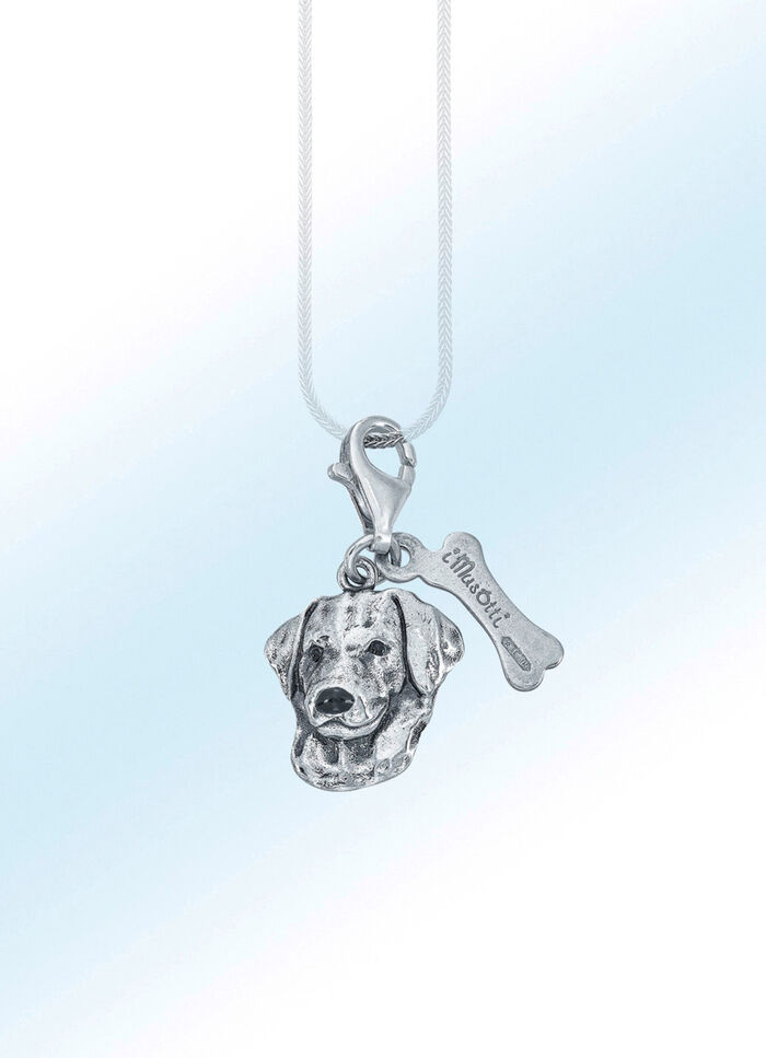 F&uuml;r Hundeliebhaber: interessanter Anh&auml;nger Labrador 