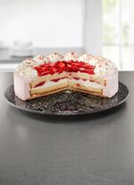 STONELINE&reg; Servierplatte aus bruchsicherem Glas 