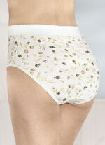 Viererpack Formslips mit verstärkter Bauchpartie 