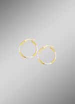 Wundersch&ouml;ne diamantierte Creolen 