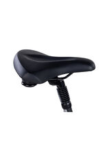 E-Bike Comfort Sport Easy von SAXXX 