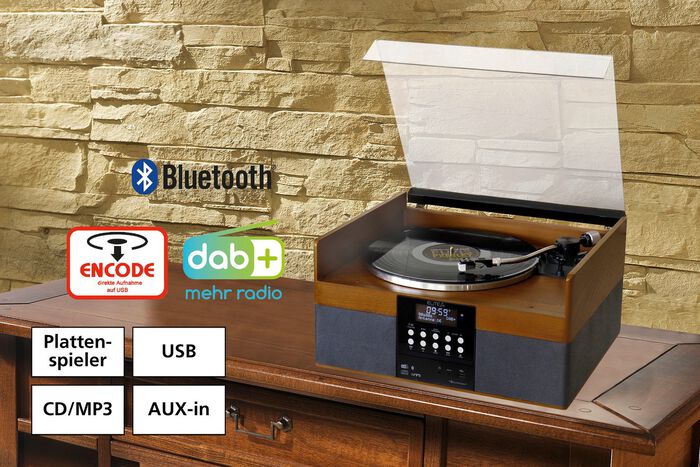 Stereoanlage im Echtholzgeh&auml;use 