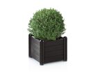 Pflanzkasten aus wetterbest&auml;ndigem Kunststoff 