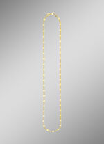 Feine Stegpanzerkette 