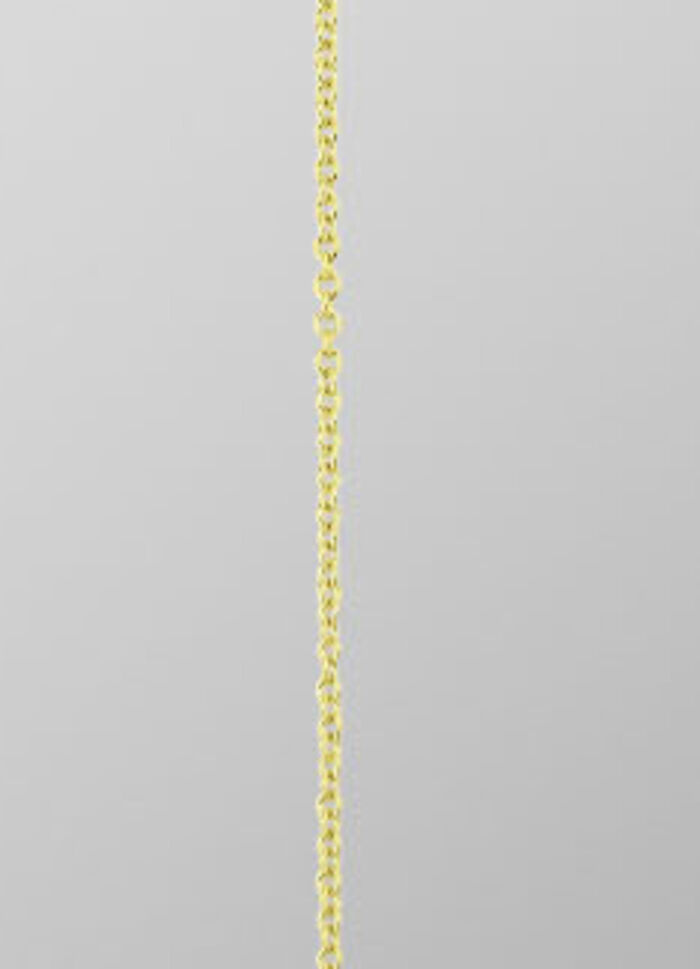Ankerkette aus Gold 