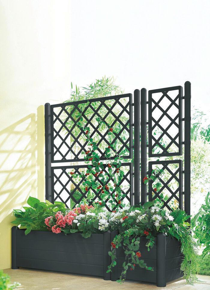 Pflanzkasten mit Spalierwand ANTHRAZIT