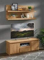 TV-Longboard mit Wandboard 