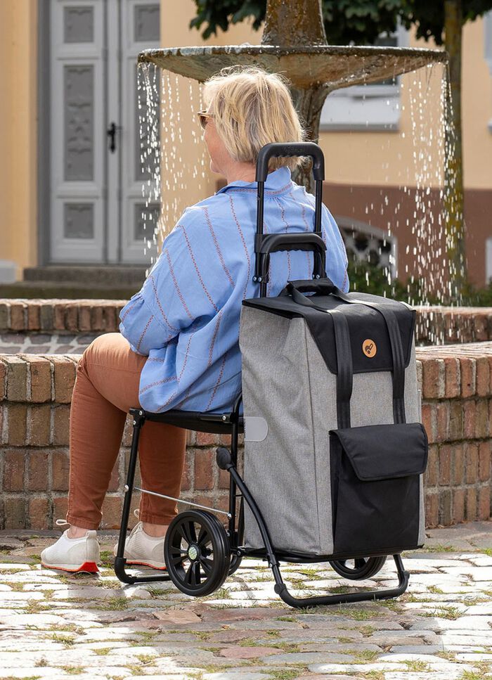 Andersen Einkaufsroller mit Sitzmöglichkeit GRAU