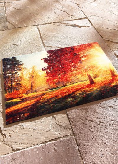 Fu&szlig;matte Herbstwald 