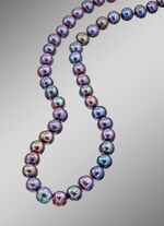 S&uuml;&szlig;wasser-Zuchtperlenkette: Ein Schmuckst&uuml;ck f&uuml;r die Ewigkeit 