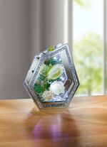 Beleuchtete Glas-Dekoration 