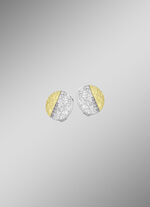 Hochwertige Ohrclips 