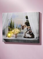 LED-Bild mit Katze 