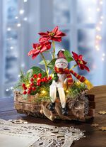 Beleuchtetes Poinsettia-Arrangement 