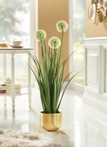 Allium-Gesteck im Topf 