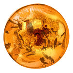 Unikate: Ohrstecker mit echtem, cognacfarbenem Bernstein