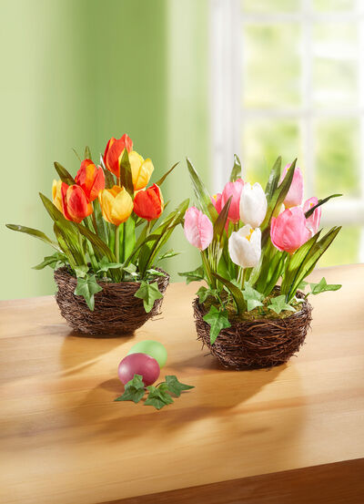 Tulpen im Weidekorb 