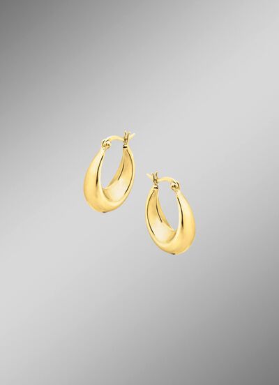 Gl&auml;nzende Creolen in Silber 925/- fein 