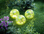 LED-Glaskugeln "Schmetterling", 3er-Set 