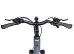 E-Trekking-Bike X-Road 5.2 von SAXONETTE 