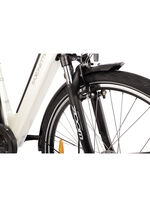 E-Bike Comfort Plus 5.0 von Saxonette 