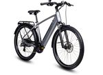 E-Trekking-Bike X-Road 5.2 von SAXONETTE 