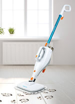 Genius Invictus Hand- und Bodendampfreiniger 