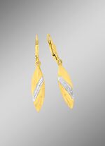 Tolle Ohrringe in Bicolor 