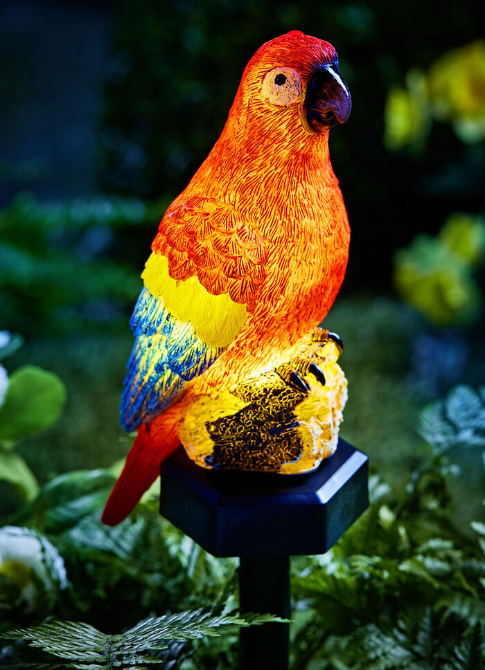 Solar-Papagei 