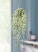 Naturgetreuer Mooshänger 