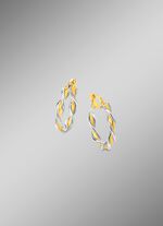 Gedrehte Creolen in Bicolor 