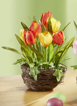 Tulpen im Weidekorb GELB-ORANGE