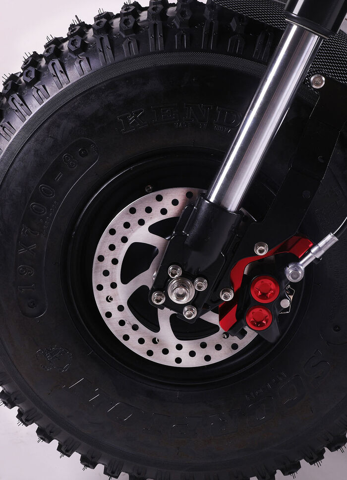 Maximus E-Cruiser - Die umweltfreundliche Alternative zum Motorrad 