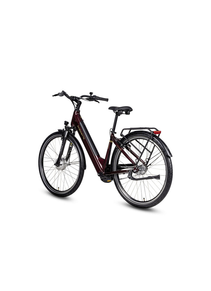 E-Bike Comfort Plus 5.0 von Saxonette 
